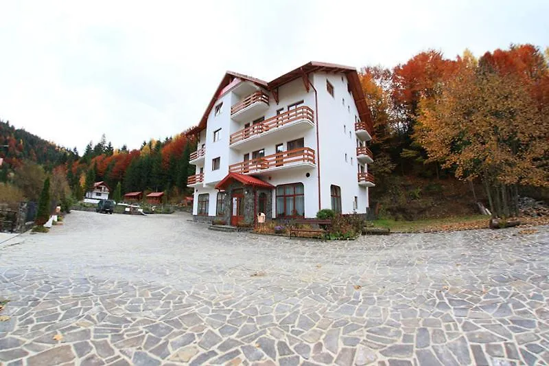 Hotel Paltinis-1