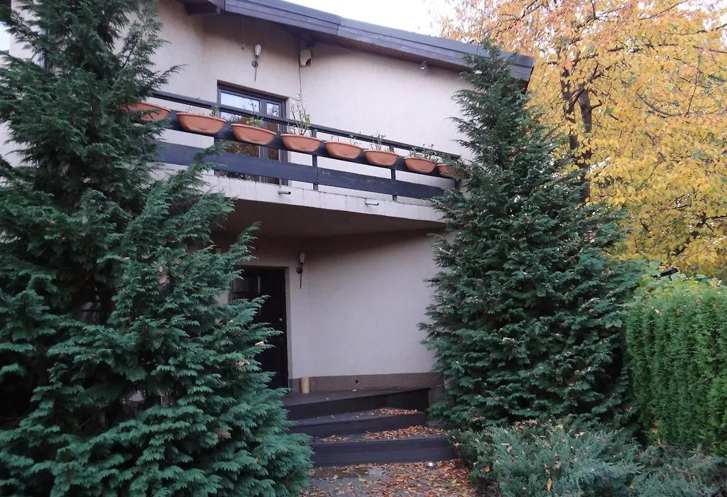 Pensiunea Bamboo - Villa-1