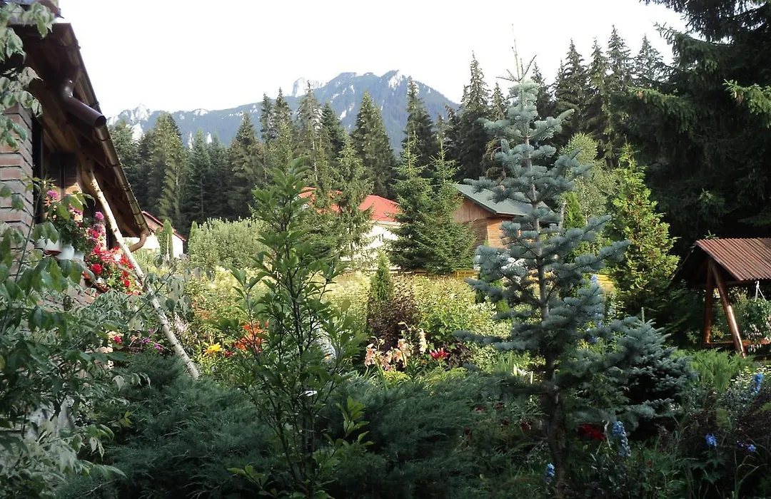 Casa Serban-1