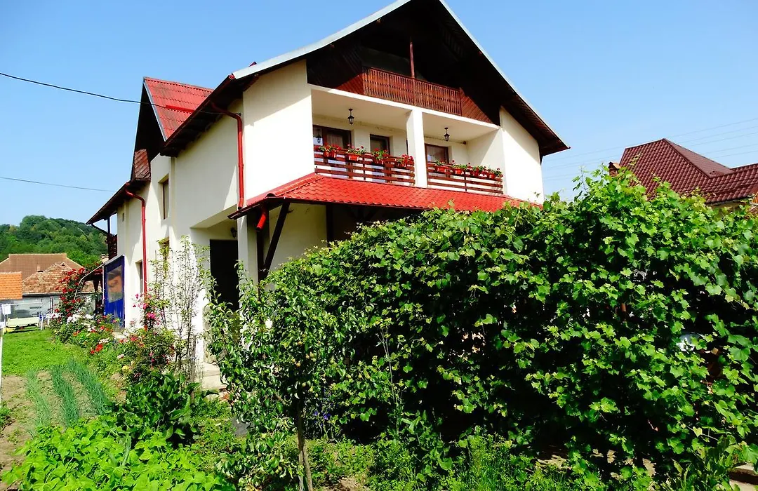 Pensiunea Casa Elena-1