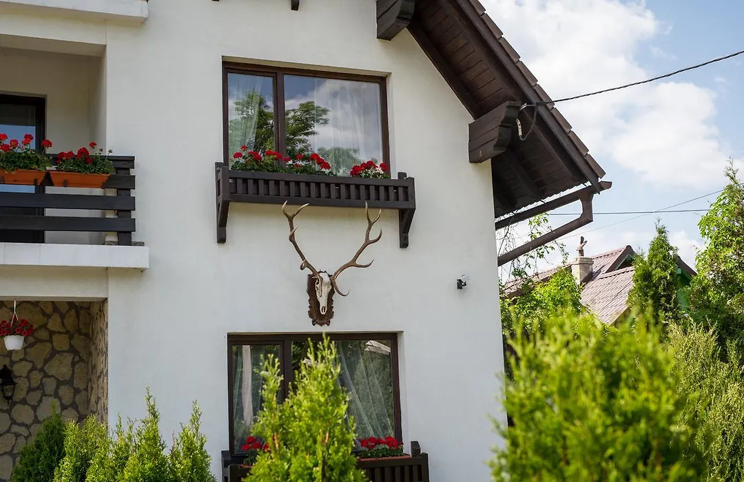 Bran Chalet-1