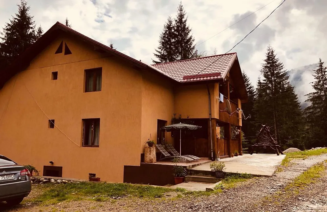 Cabana Cory Râușor-1