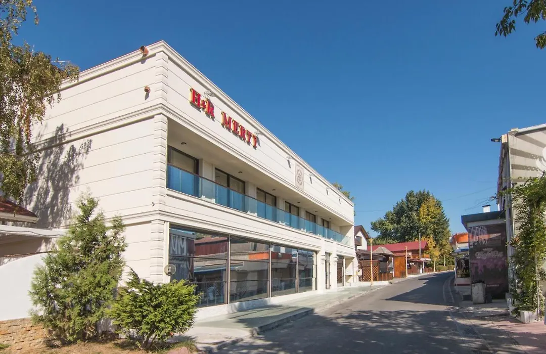 Hotel Merty-1