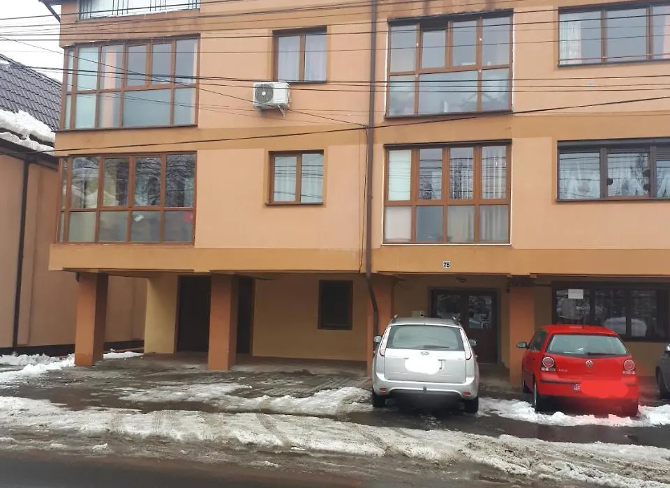 Apartament Trei Stejari-1
