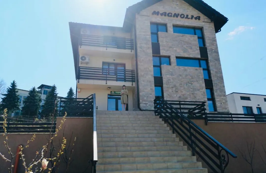 Pensiunea Magnolia-1