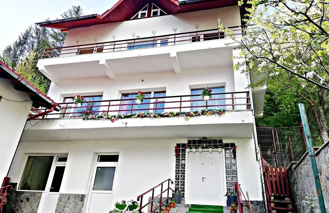 Casa Vitan-1