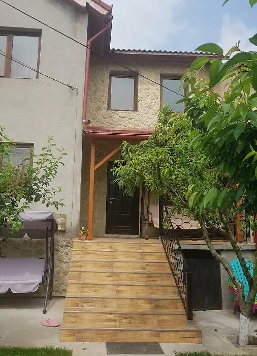 Casa Andrei Techirghiol-1