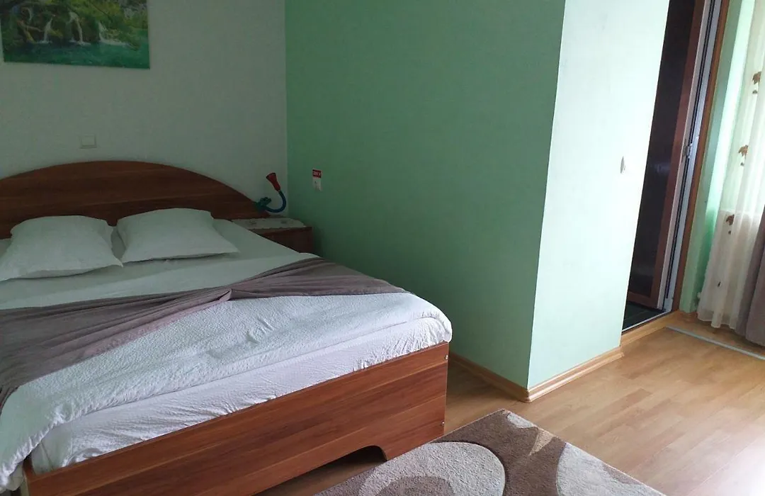Casa Raluca-1
