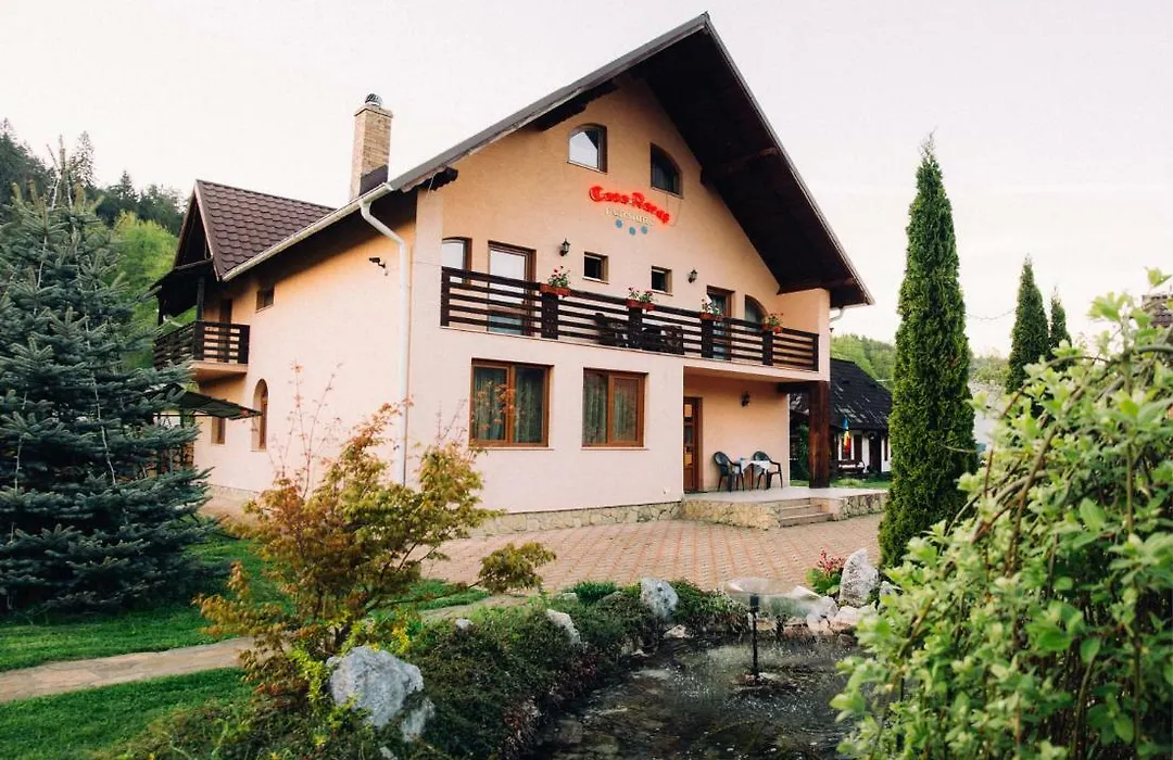 Casa Rareş Suceviţa-1