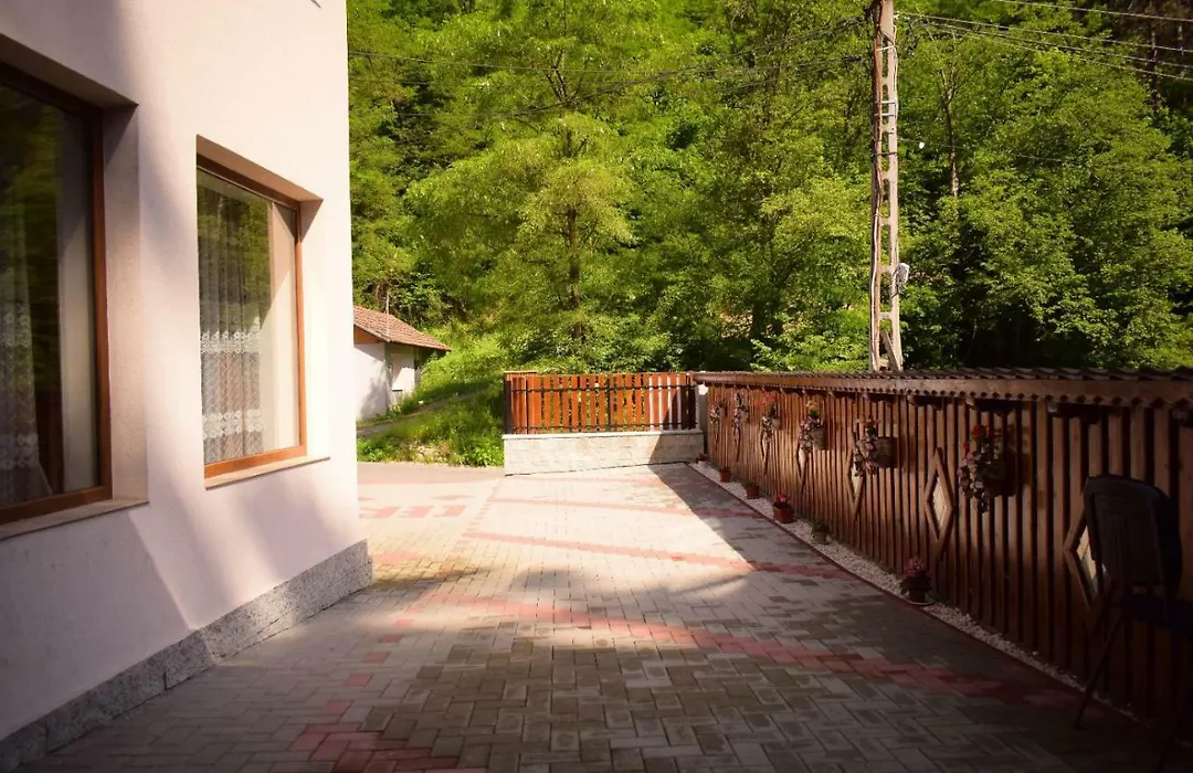 Pensiunea La Cernat-1