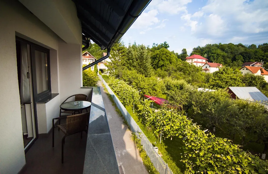 Hotel Subcarpati-1