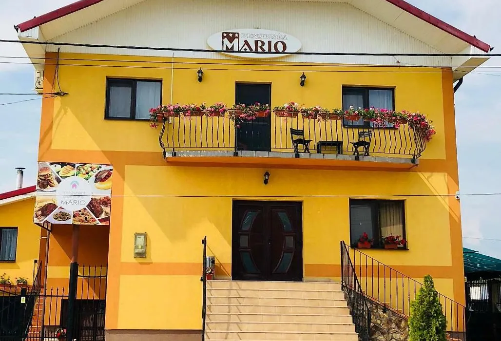 Pensiune Restaurant Mario Beius-1