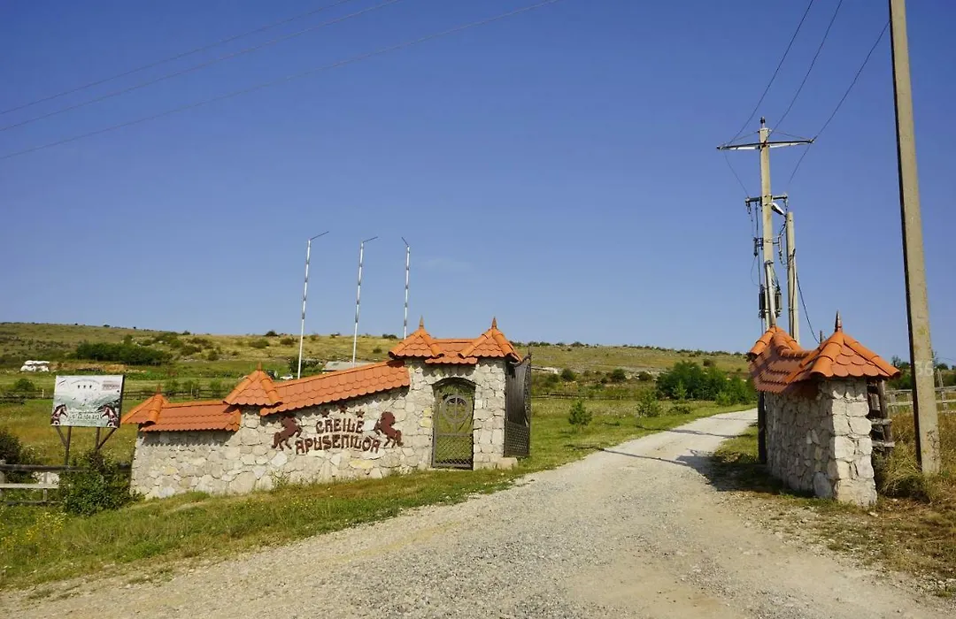 Pensiunea Cheile Apusenilor Cheile Turzii Near Turda-1