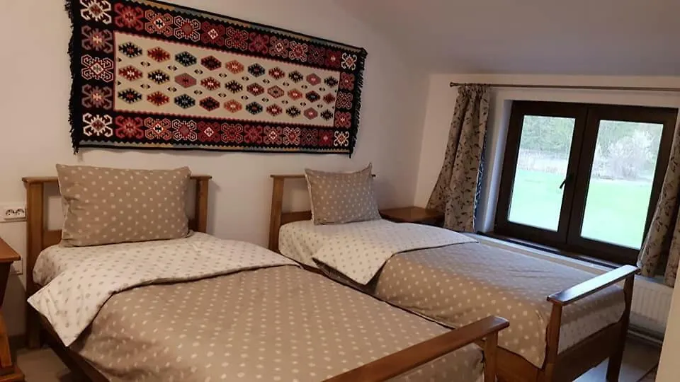 Pensiunea Turistica VALEA MIERII-1