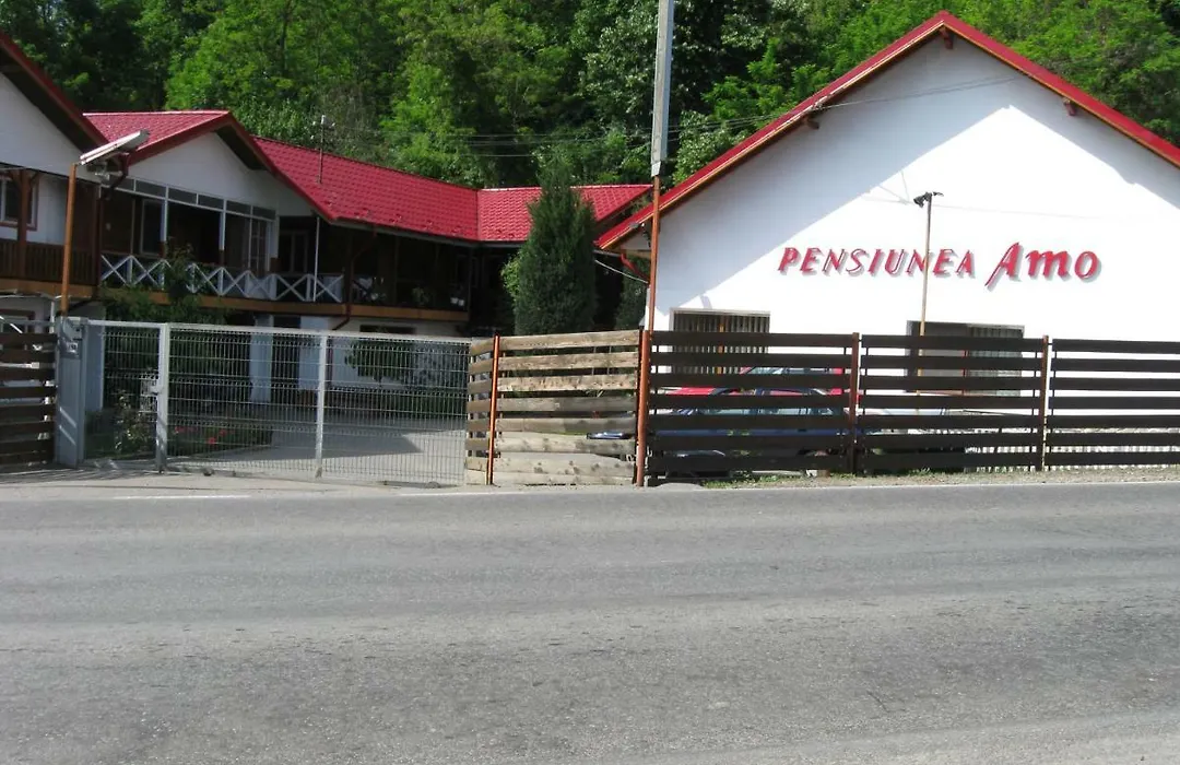 Pensiunea Amo-1