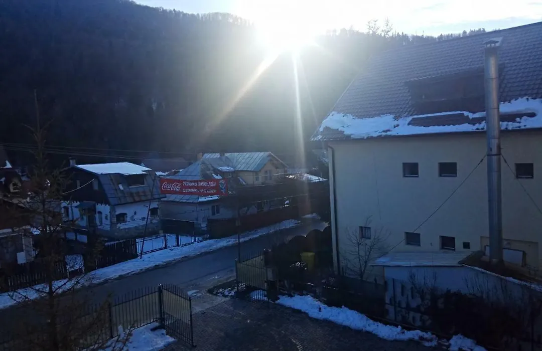 Casa Alexandru-1