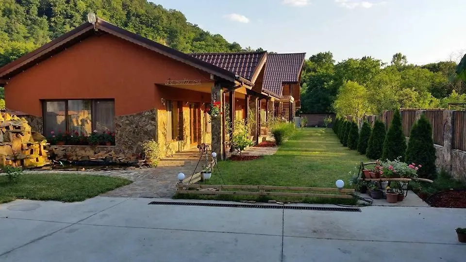 Pensiunea Raiul Munților-1