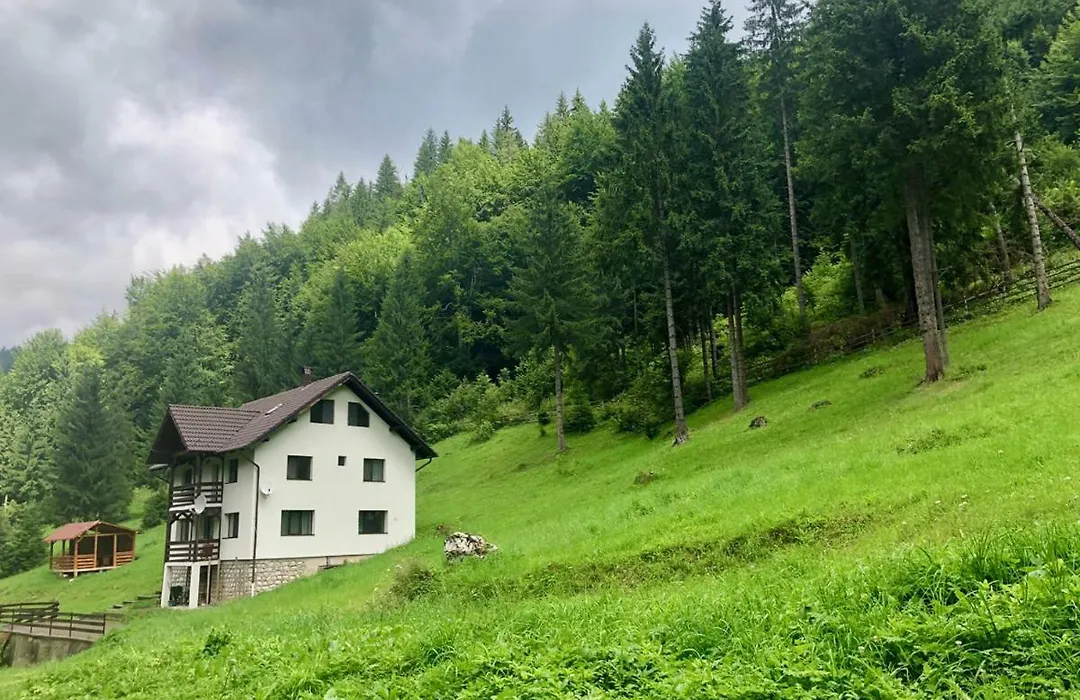 Cabana Caprioara - Piatra Craiului-1