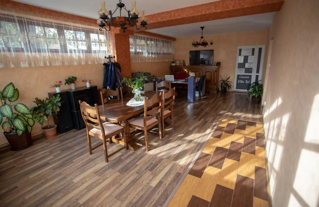 Vila Tei Guesthouse-1
