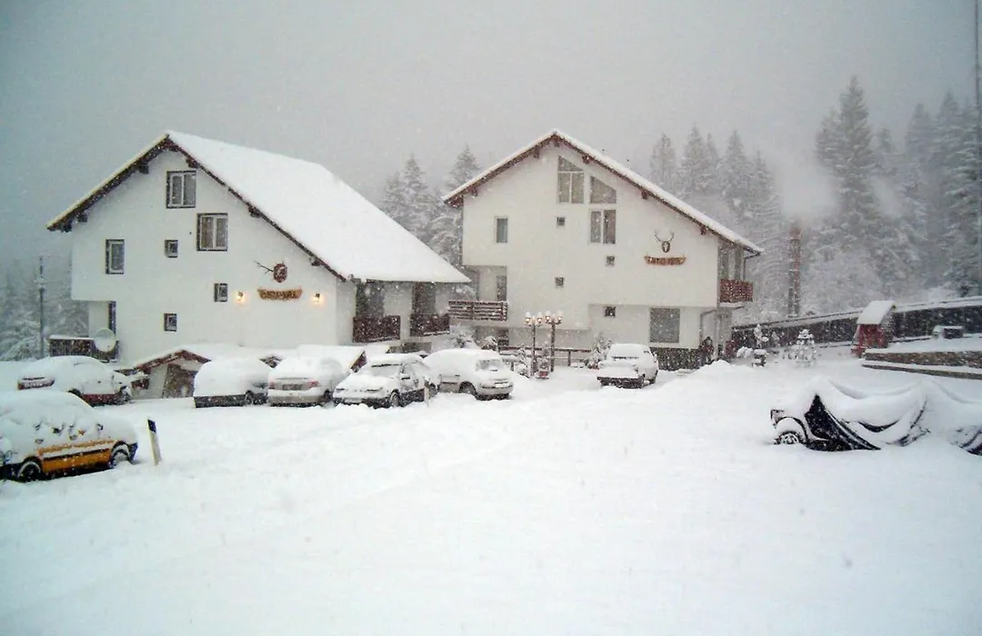 Complex Panoramic Predeal-1