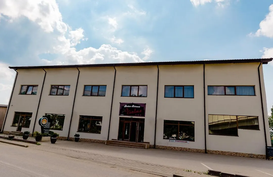 Pensiunea Vialux-1