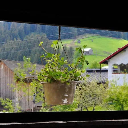 Black Valley House-3