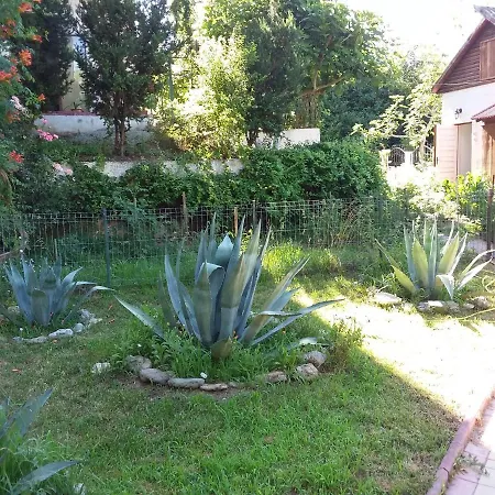 Mioara Rooms Parter-3