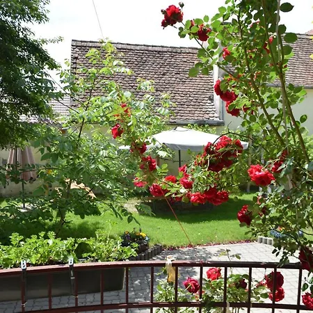 Pension Greenhouse-3
