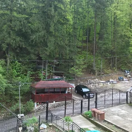 Vila Alpina Olănești-3
