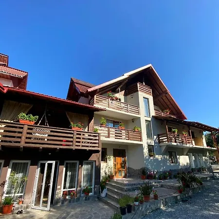 Vila Sorina-3