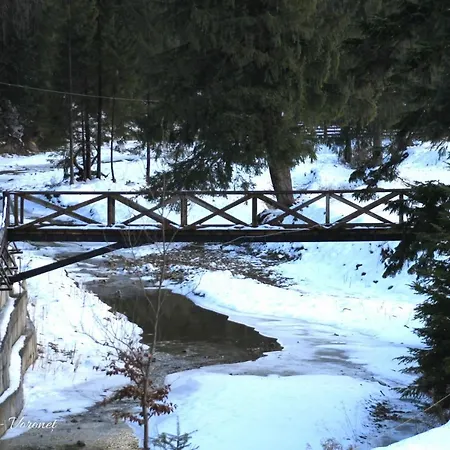 Voroneț, CASA IOANA, Bucovina!-2