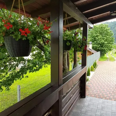 Casa Alesia Bucovina-2