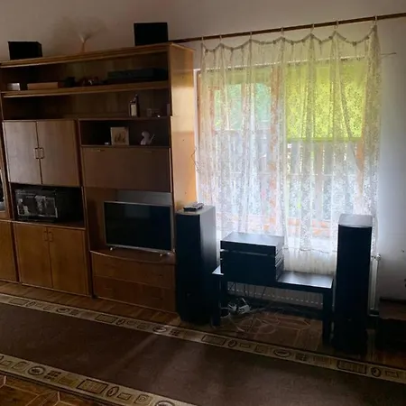 Vila Busteni DORA, locatie superba strada Grivitei 36-2