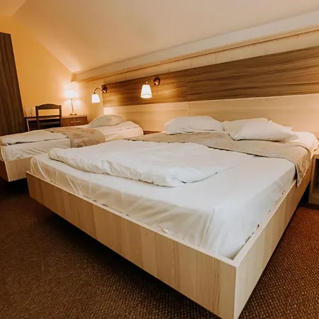 Guest house Lacul Linistit-3