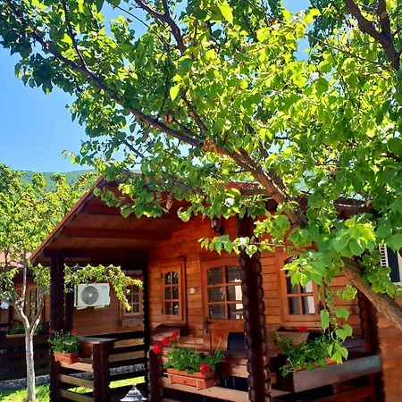 Pensiunea Casa Ecologica-3