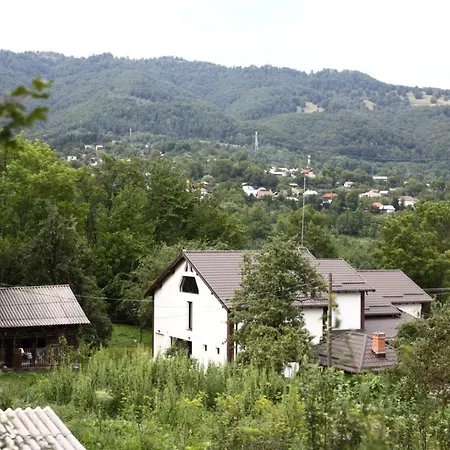 Hățașul Bunicului-2