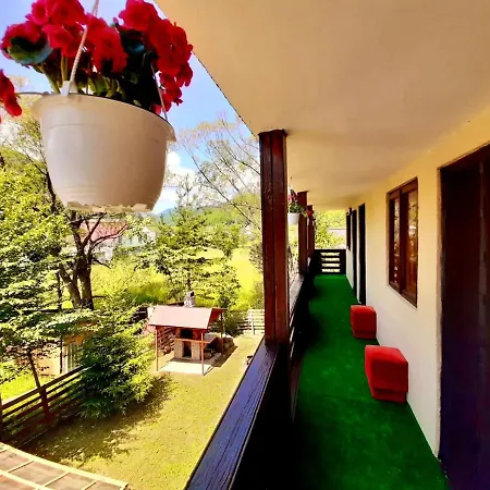 Vila Pelin-3