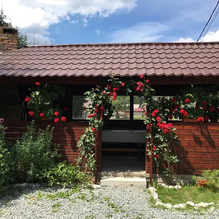 Casa Cerbu-2