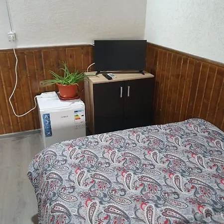 Casa Radu-2