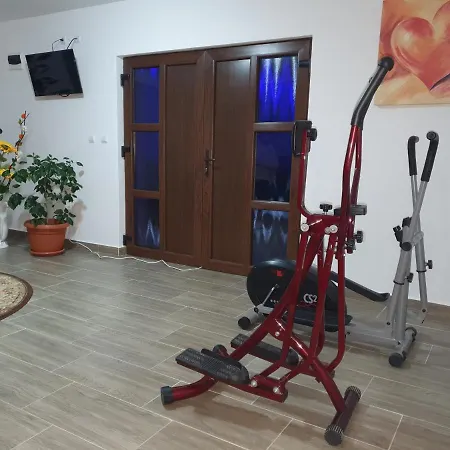 Pensiunea Ronicson-2
