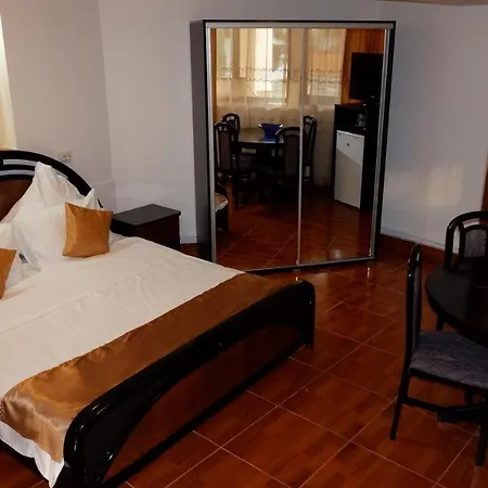 Pension Cuibul Viselor-3