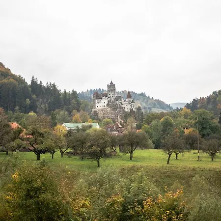 Bran Chalet-3