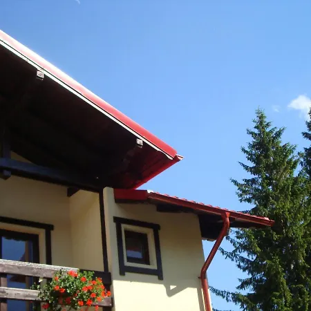Casa cu Flori-2