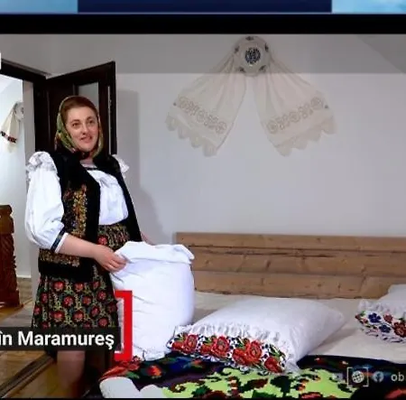 Pensiunea Viorica-3