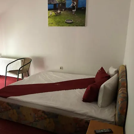 Casa Tora Tasnad-3