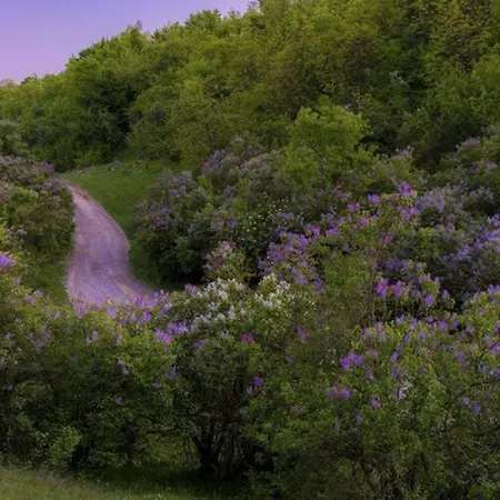 Perla Muntilor Ponoarele, Padurea de liliac-2