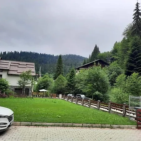 Vila Visinica-3