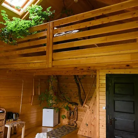 Cuibul Vulturilor - Casuta in Copac-2