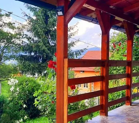 Casa Andreea și Grigore Ursu-3