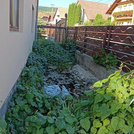 Narcisz B&B-2